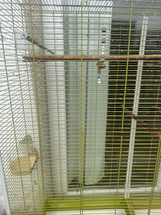 Vende se Gaiola e acessórios