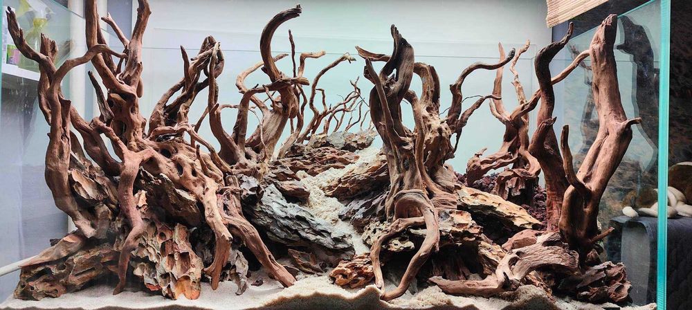 Korzeń Red Moor, Mopani, Driftwood, Mangrowca akwarium terrarium WYBÓR
