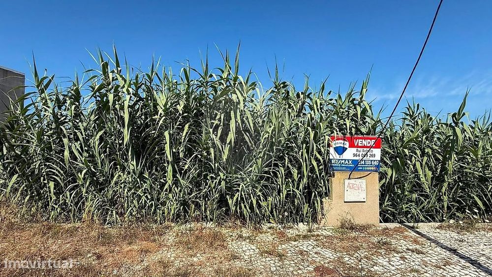 Terreno  para venda
