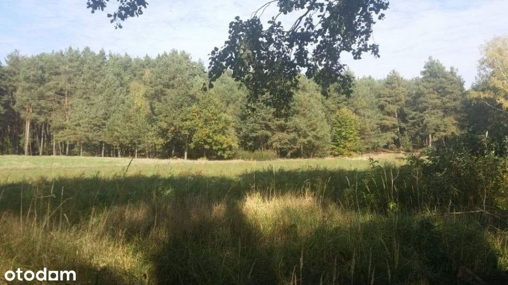 Urokliwa działka w Parzynowie pod Kobyłą Gorą