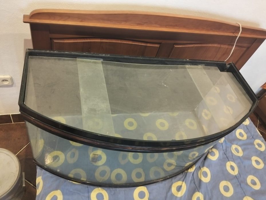 Aquário panorâmico