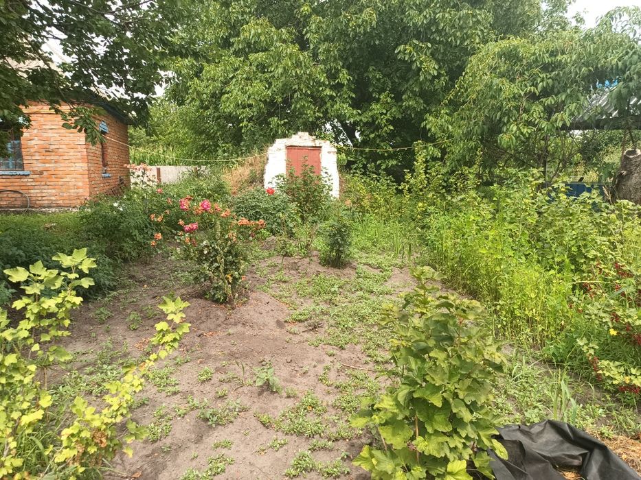Продам будинок з участком