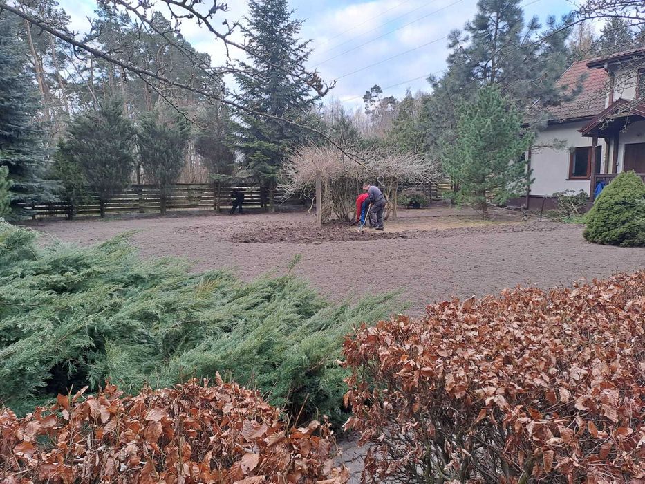 Wycinka drzew wywóz gałęzi