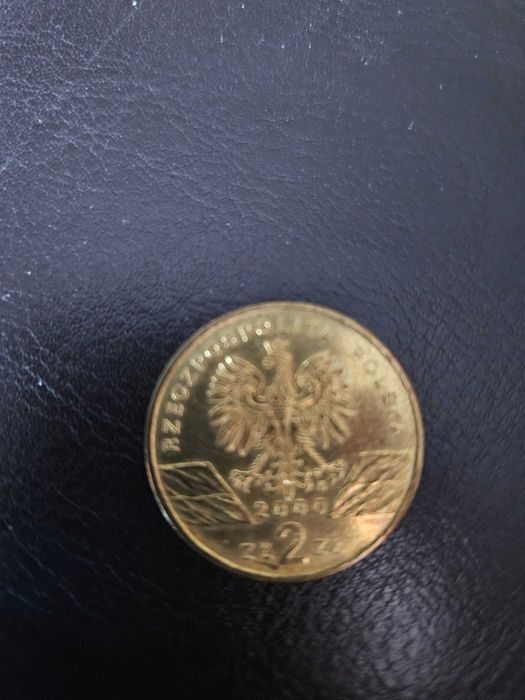 Moneta 2 złote Dudek