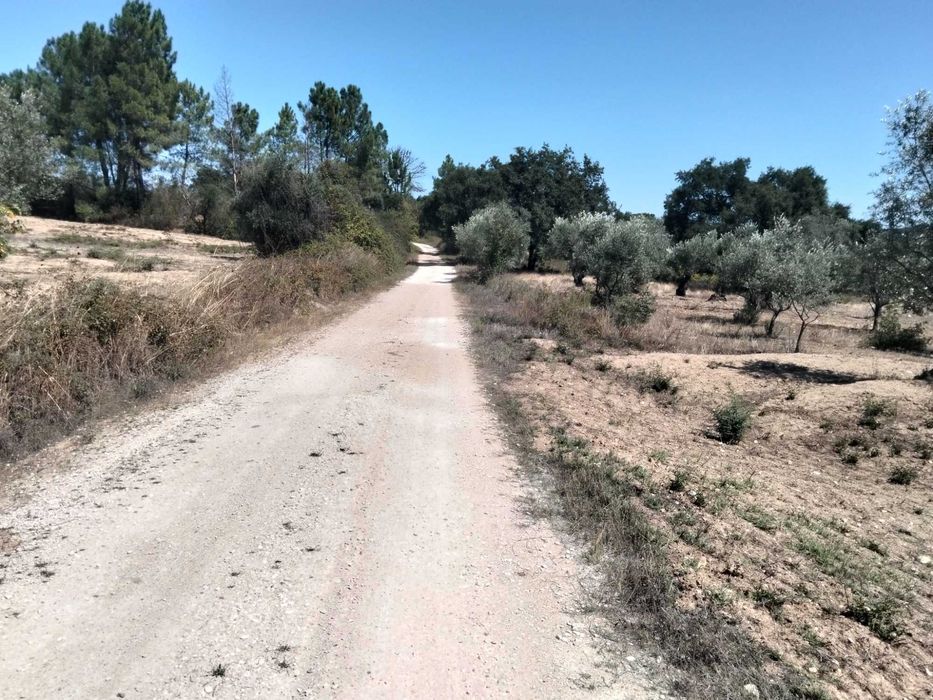Terreno Rustico Inserido em zona de campo, localizado na periferia da Localidade