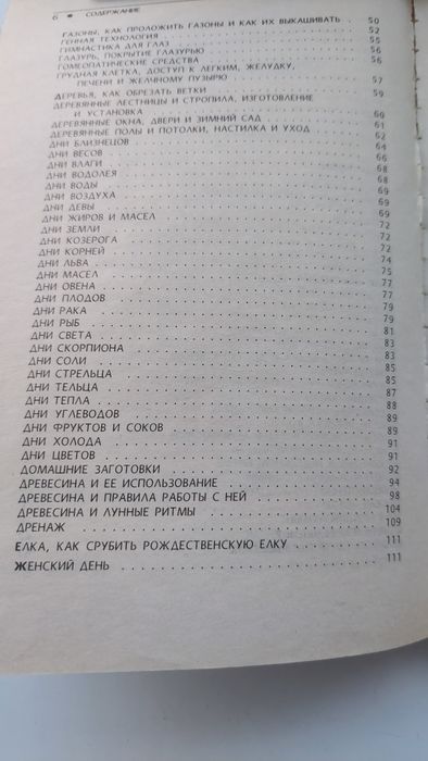 Книга Лунный словарь
