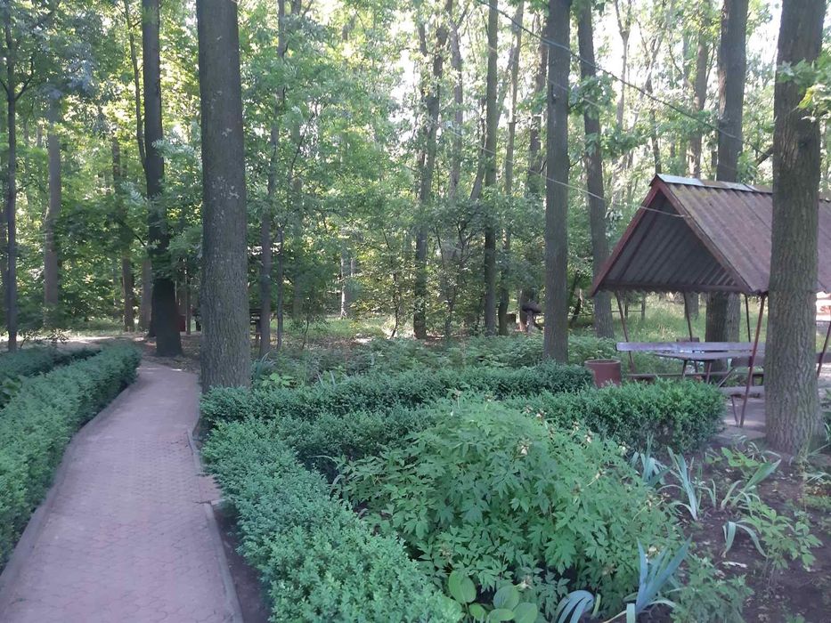 Продам кафе з критим майданчиком, альтанками