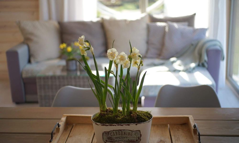 Domek nad jeziorem, SPA na wyłączność, konie, Kaszuby