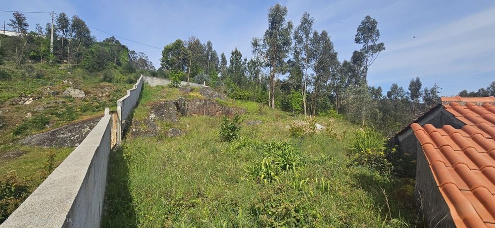 Terreno Rústico vista Rio Douro