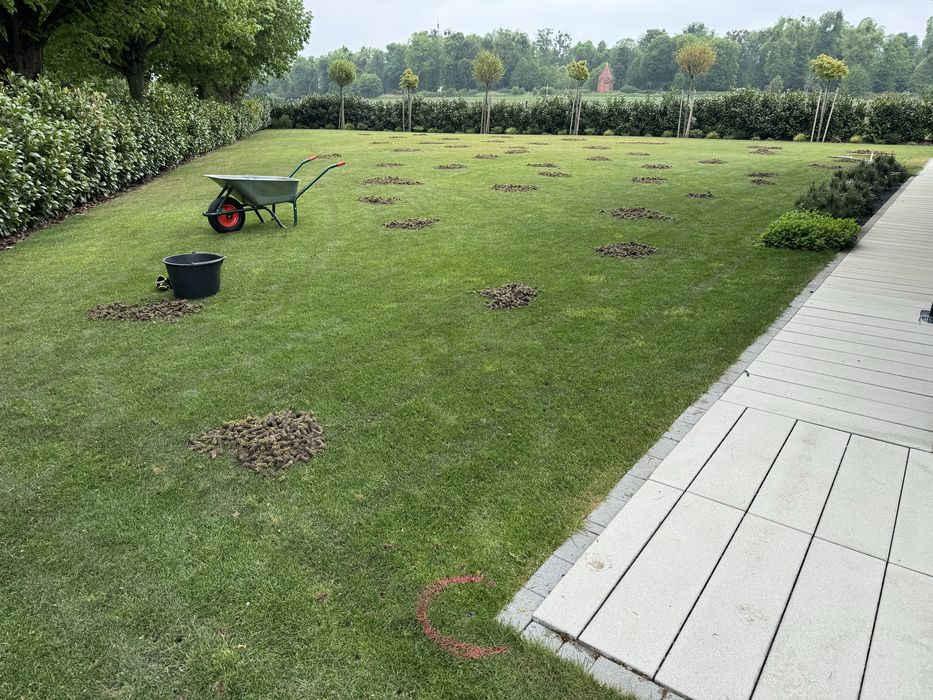 Aerator spalinowy_weibang_billy goat_camon_wertykulator spalinowy_usluga pielęgnacji trawnika
