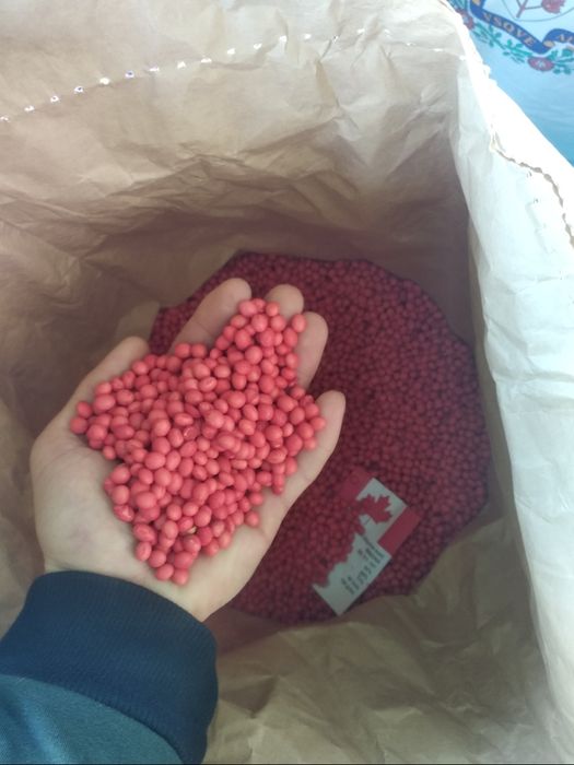 Нова Канадська соя ВІНОНА[SB 311-101] 1-А РЕПРОДУК. Відправка НП!