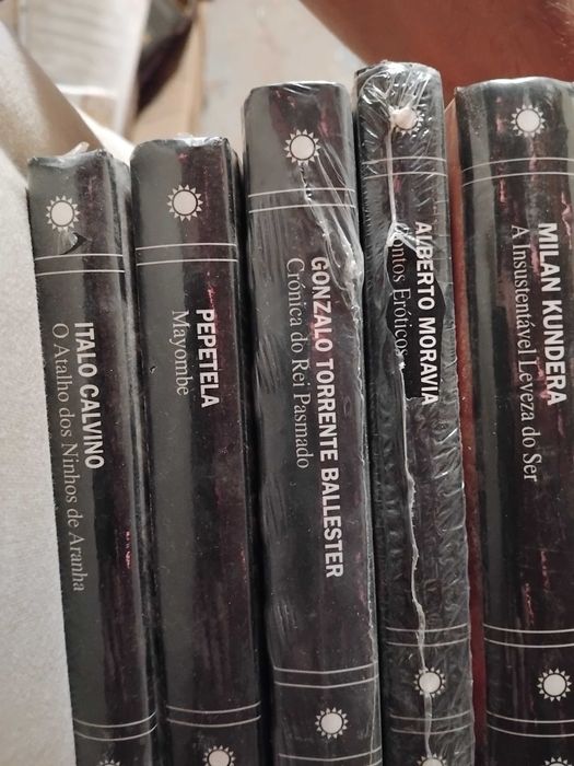 conjunto de vários livros/vários autores