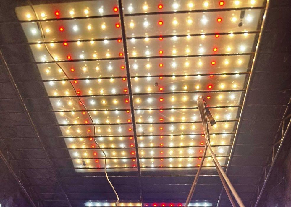 LED Фитолампа для Растений 256LED (Фито Гроубокс Рассада Зелень Цветы)