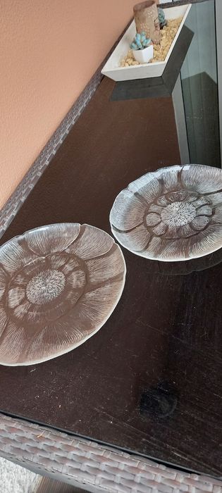 Glass Plates in Two Sizes431665810475601921