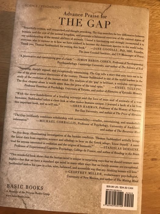 Livro “The Gap”64740292983939121