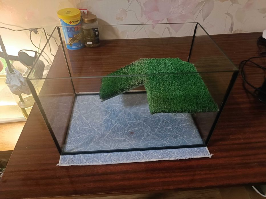 Акваріум для черепах