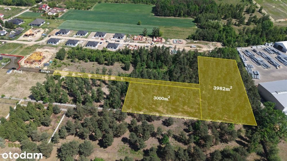 Działka leśna 3000 m² – Sochaczew, Wypalenisko