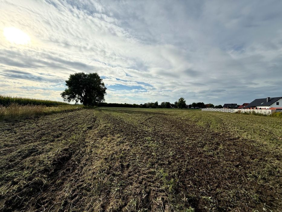 Działki budowlane z warunkami zabudowy – Kanclerzowice, gm. Żmigród | 1056 i 1200 m² - Widok 2