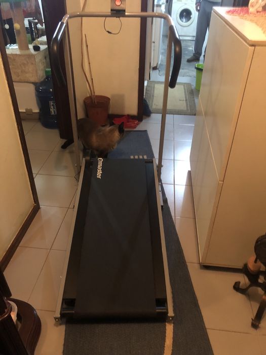 Passadeira de exercicio