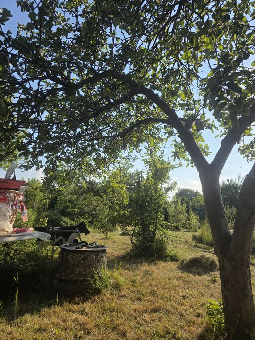 Przepisanie działki rod