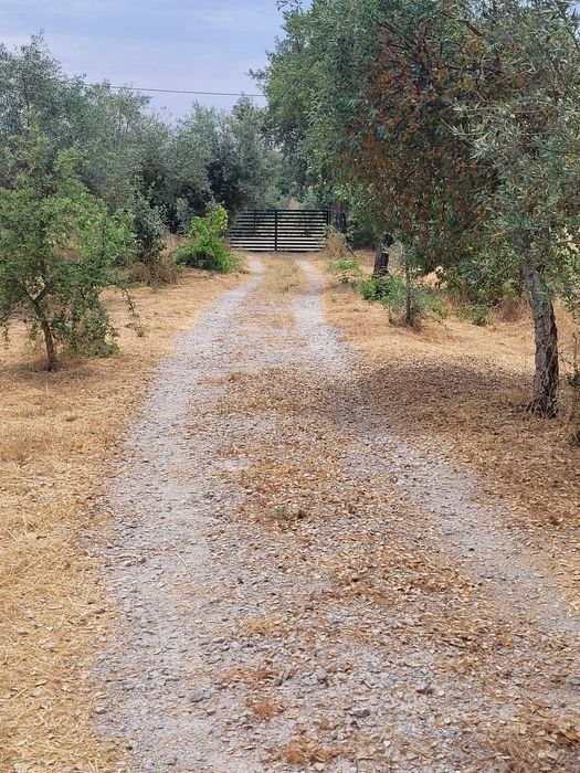 Conheça a quinta com que sempre sonhou.