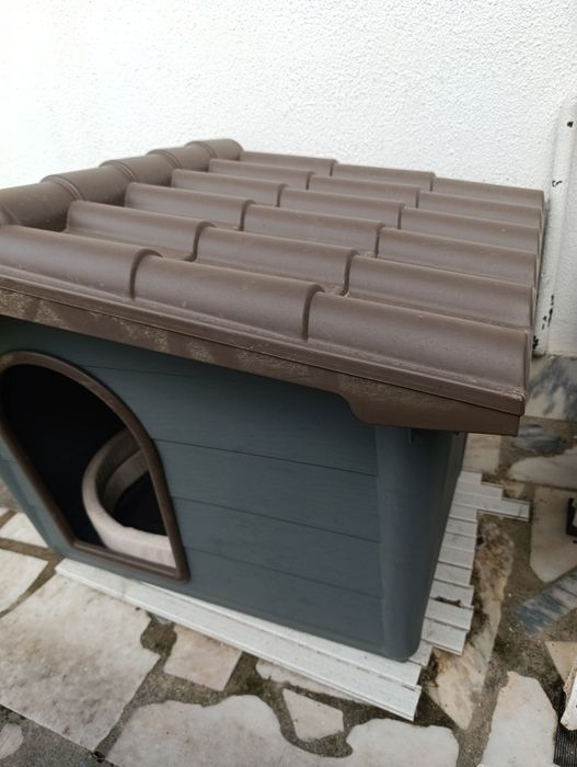 Barraca para cão