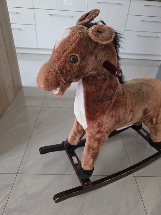 Konik na biegunach
