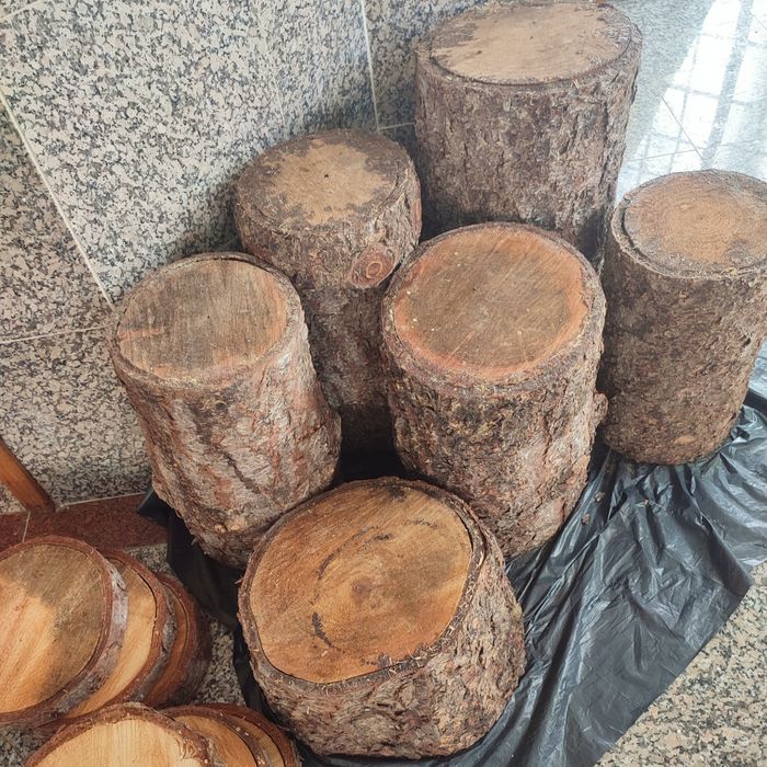 Conjunto de 6 Troncos + 6 Rodas de Madeira (Pinheiro) - ÚLTIMA SEMANA!