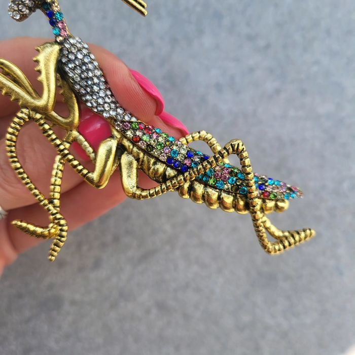 Duża broszka konik polny