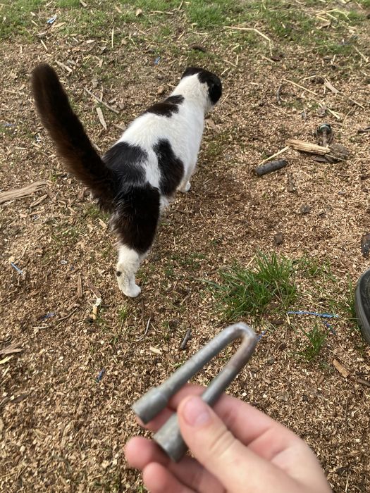 Продам железяку и кота в подарок