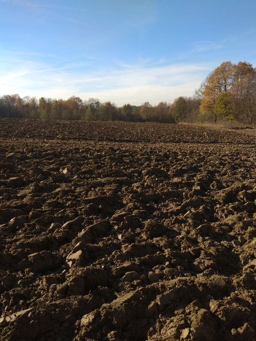 Piękna działka rolno widokowa zamienię lub sprzedam  2,17ha.