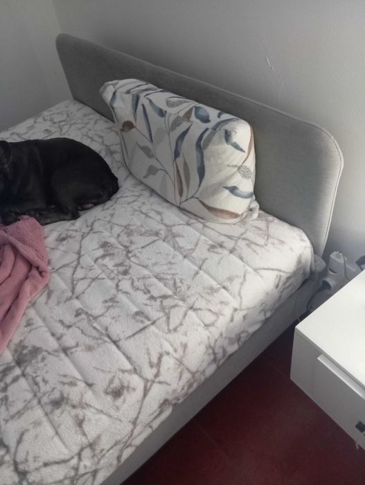 Venda artigos usados