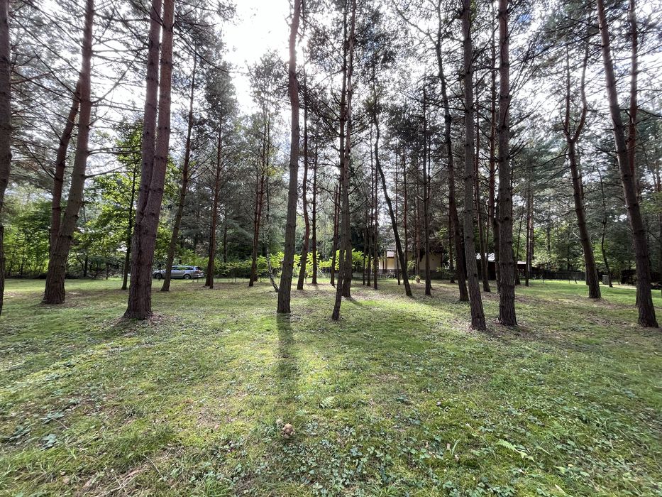 Radawa dzielnica Kudryki