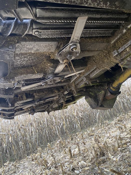 Zbiór kukurydzy koszenie kukurudzy zbóż