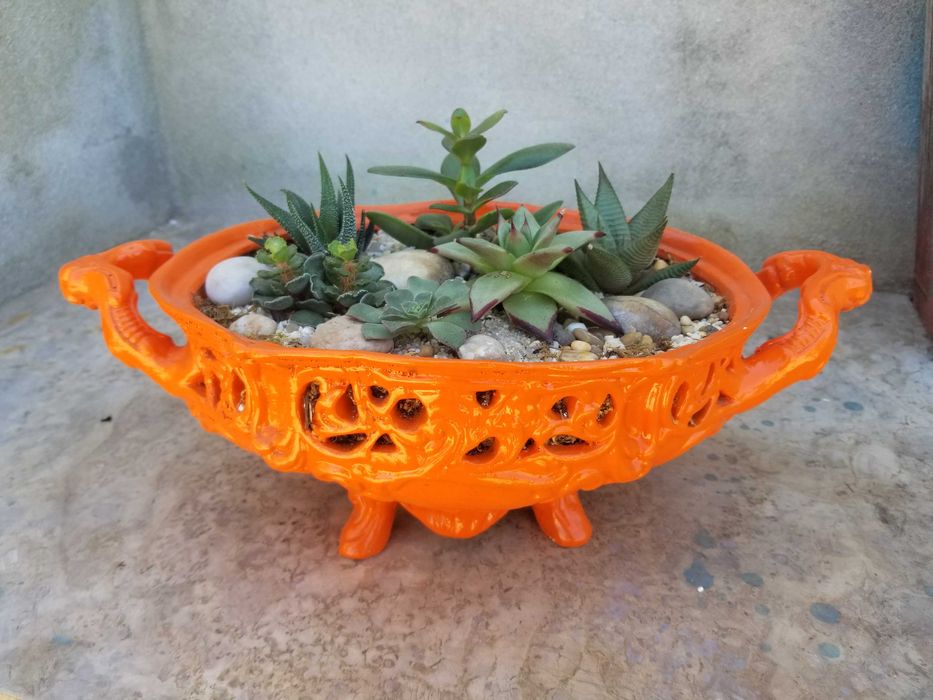 Arranjo de Suculentas