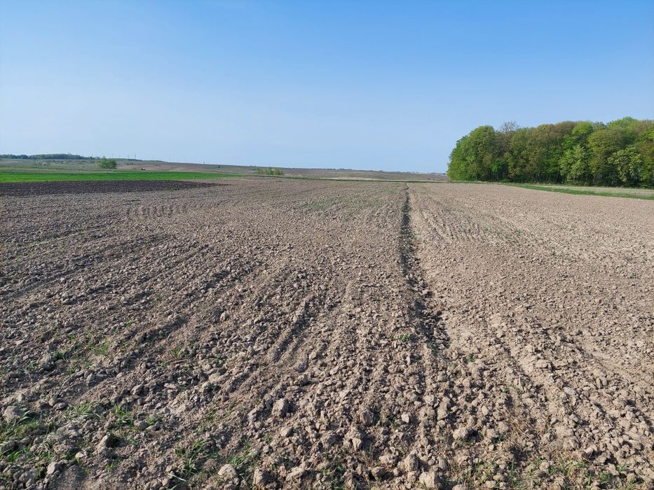 Продам пай 2 гектари Колоденка