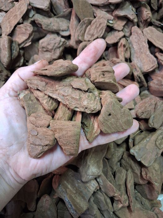 Кора для орхідей