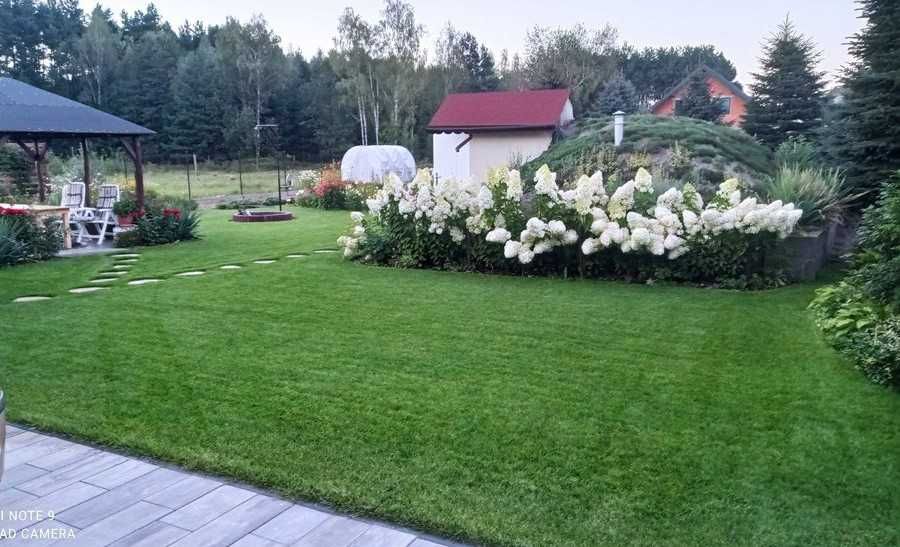 Kompleksowe zakładanie ogrodów