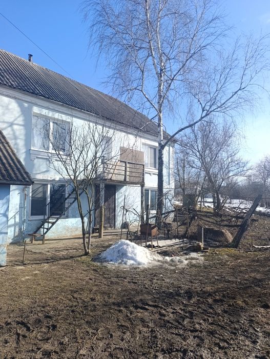 Оренда окремого будинку Лісові Гринівці