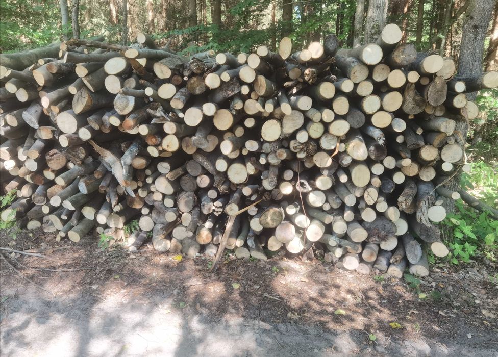 Drewno opałowe liściaste dąb buk brzoza suche