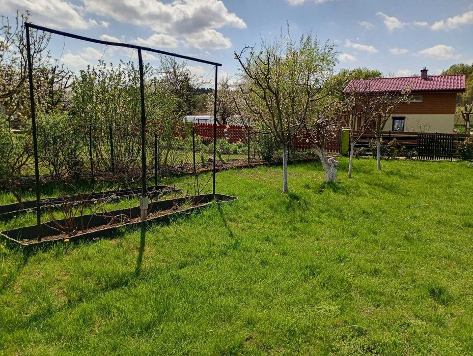 Sprzedam działkę ROD "Oaza" w Lubniewicach