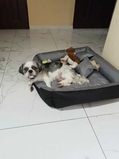 Legowisko dla Psa Kota – Wodoodporne Posłanie 75x65 cm NOWE