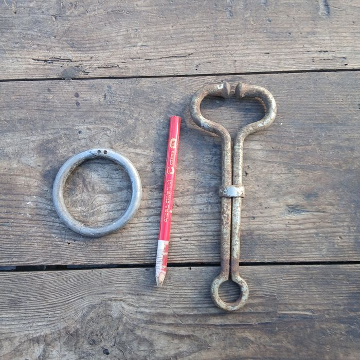 Держатель.  Кольцо в нос КРС.