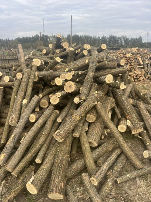 Дрова дуб береза акація