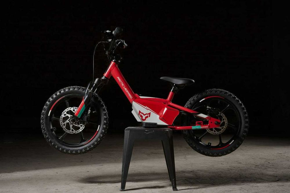 Електричний велобіг (велобег) для дитини • Leopard Cubs E16Y