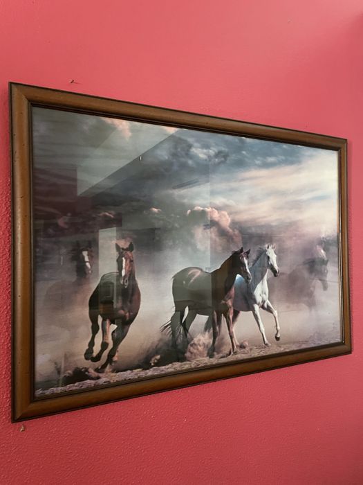 Quadro cavalos com moldura grande
