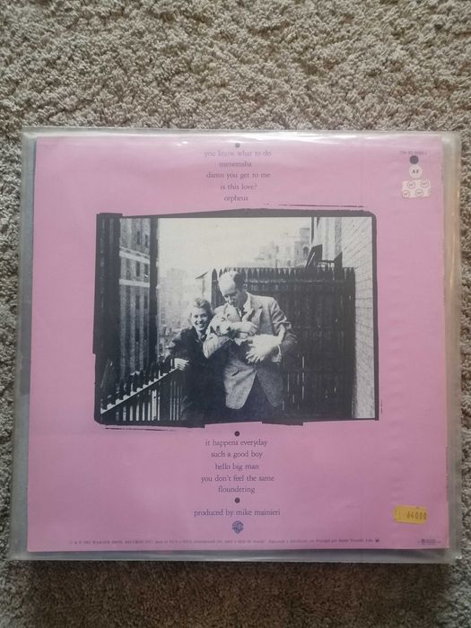 Disco Vinil 