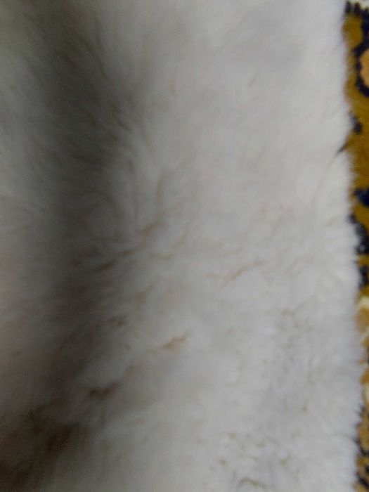 Cachecol novo pelo quentinho