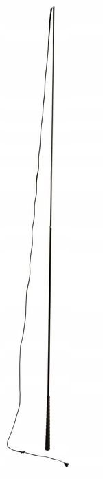 Bat do lonżowania czarny 180 cm – Covalliero