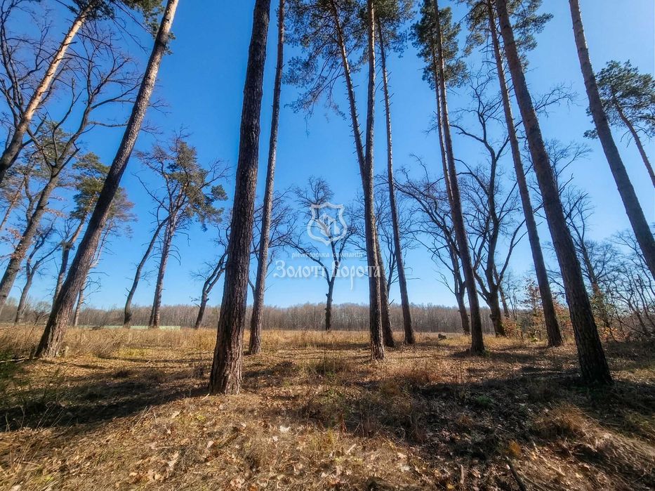 Земельна ділянка, 112,5 сотки. пгт Козин, Обухівський район